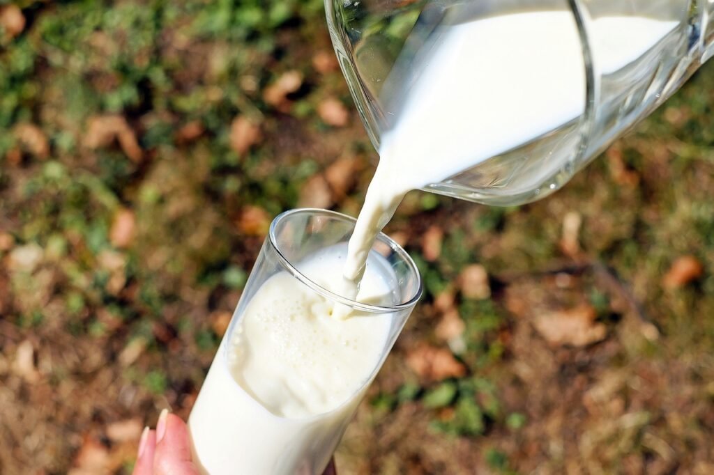 WellHealthOrganic Buffalo Milk: A Nutrient-Rich Elixir for Your Health