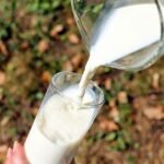 WellHealthOrganic Buffalo Milk: A Nutrient-Rich Elixir for Your Health
